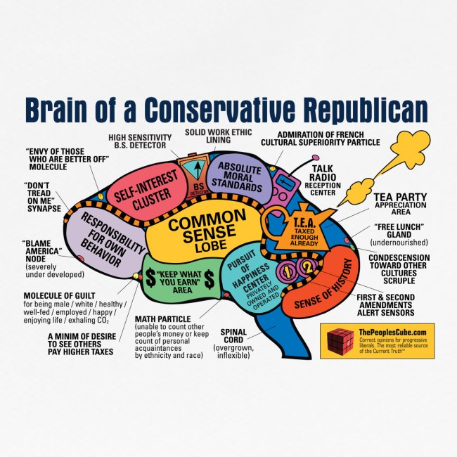 Brain of a Conservative Republican