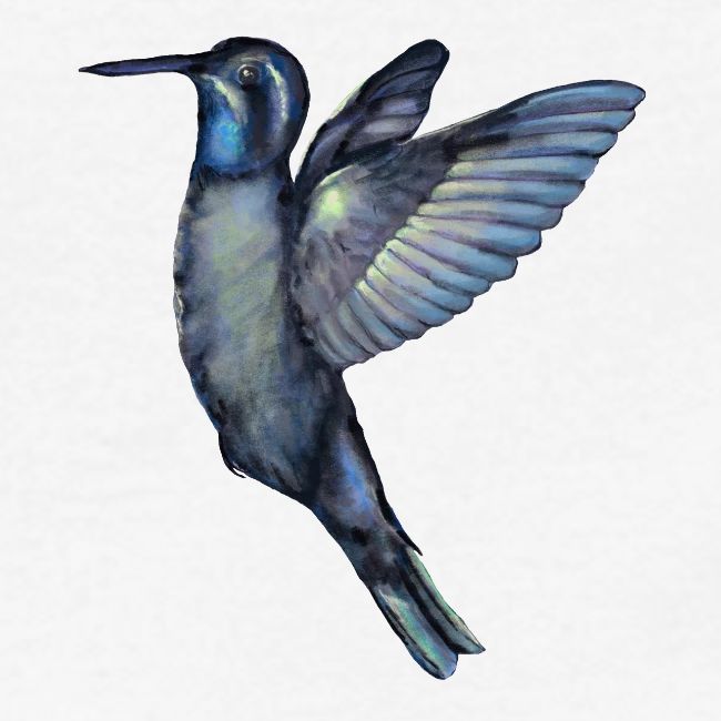 Hummingbird in flight