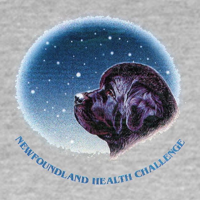 NCA Newfoundland Health Challenge Logo Gear