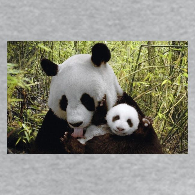 panda