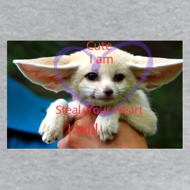 baby fox