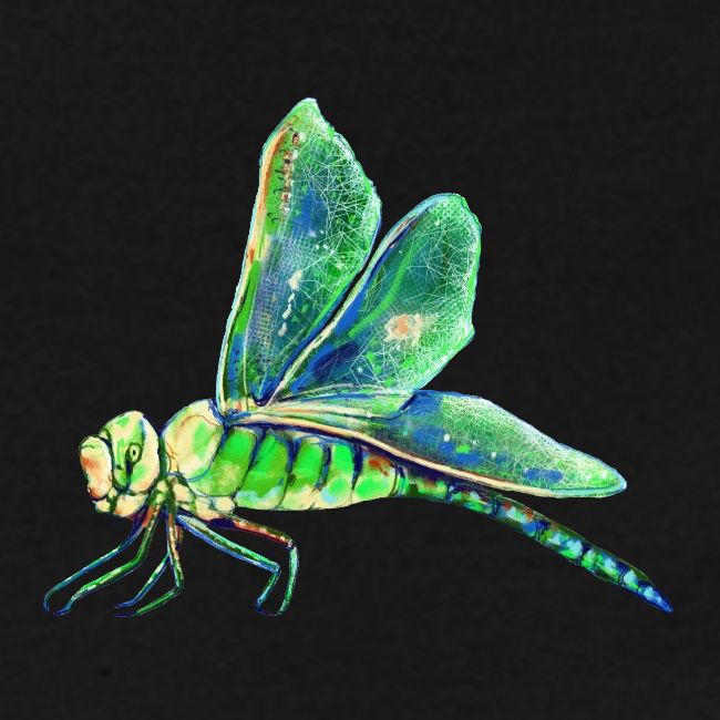 green dragonfly