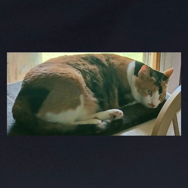 Cat Naps