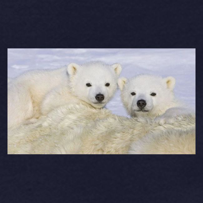 polarbears