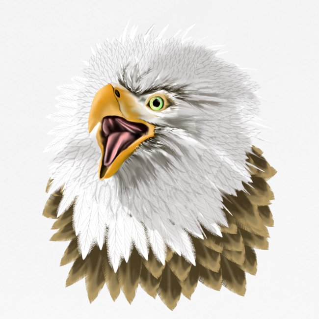 Big, Bold Eagle