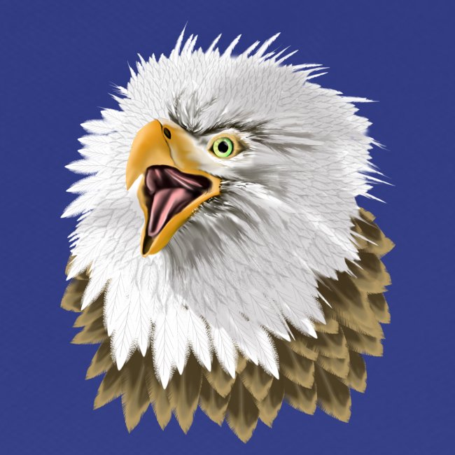 Big, Bold Eagle