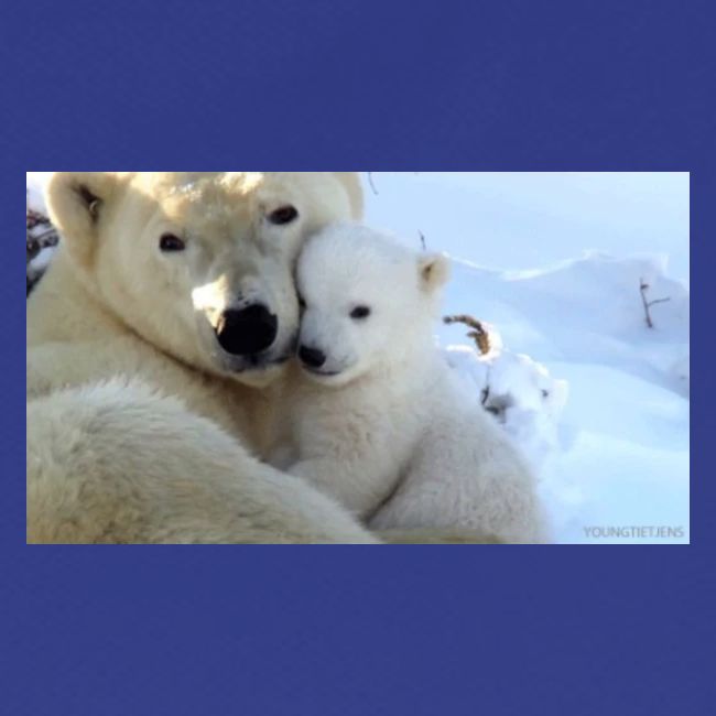 polarbearhug
