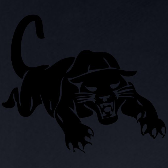 panthers sports team graphic