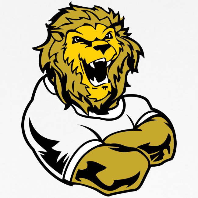 Lions Custom Sports Graphic