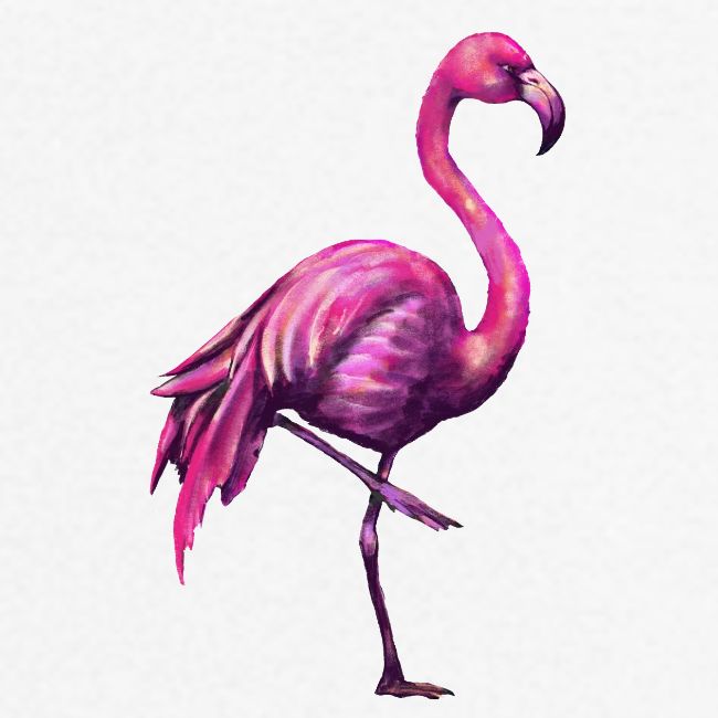 pink flamingo