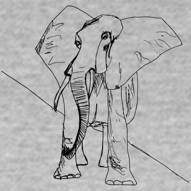 The leery elephant