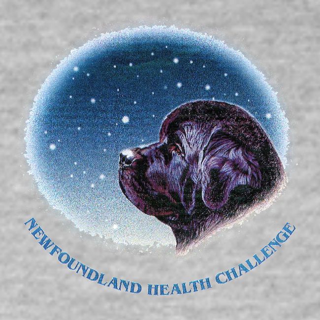 NCA Newfoundland Health Challenge Logo Gear