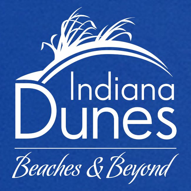 Indiana Dunes Beaches and Beyond