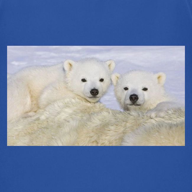 polarbears