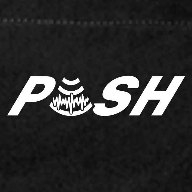 PUSH Simple Logo
