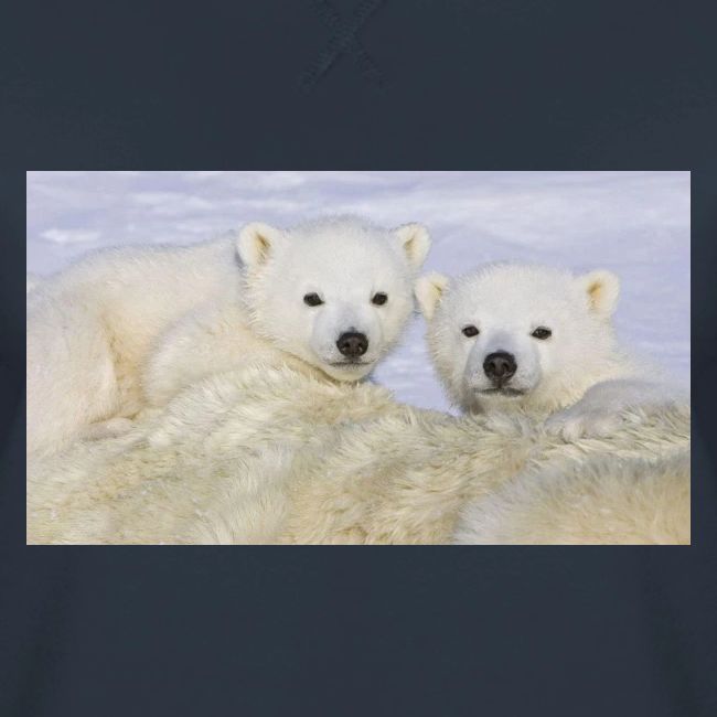 polarbears