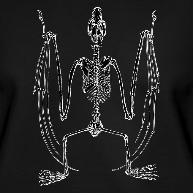 Bat Skeleton