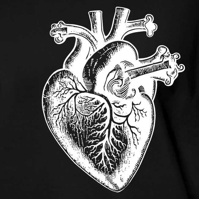 Heart