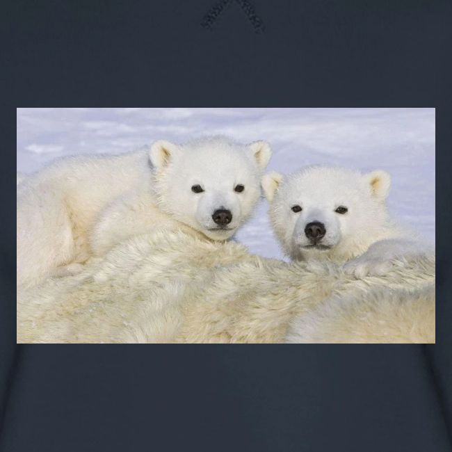 polarbears