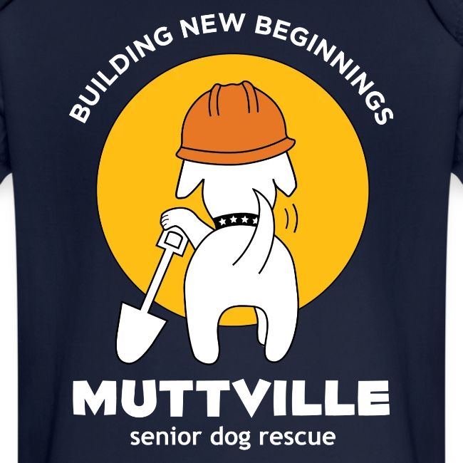 Building New Beginnings