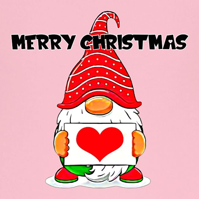 Christmas funny gnomes