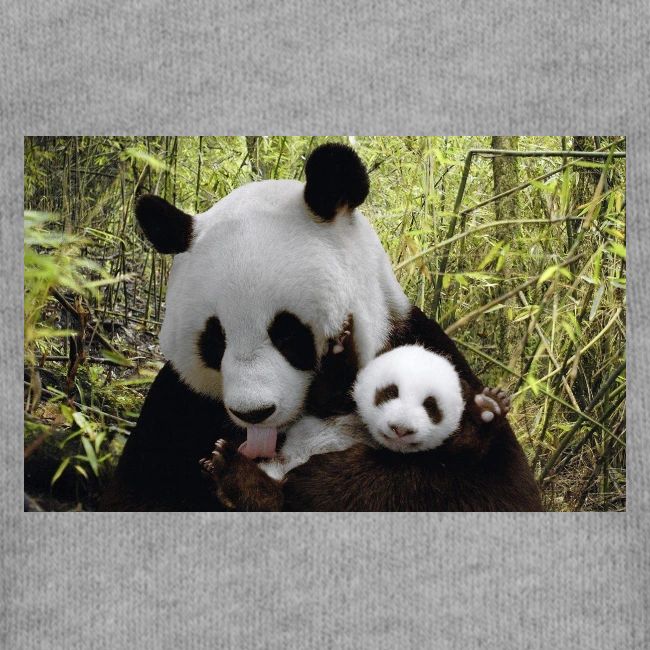 panda