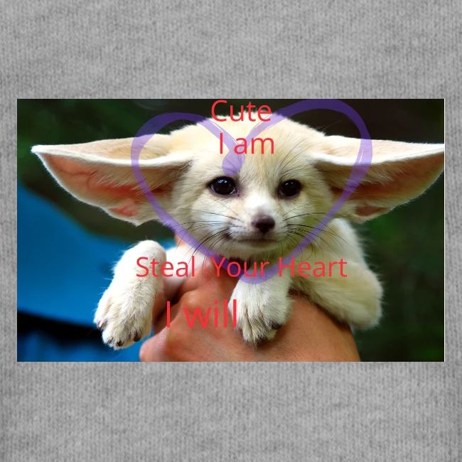 baby fox