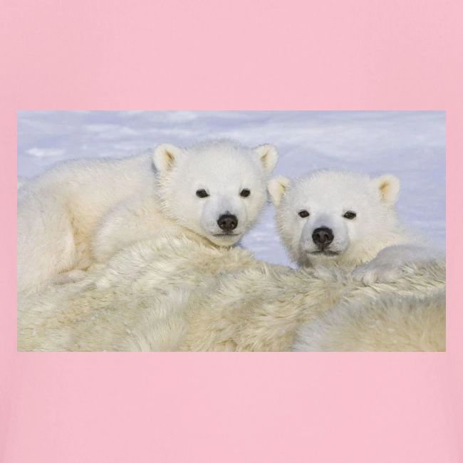 polarbears