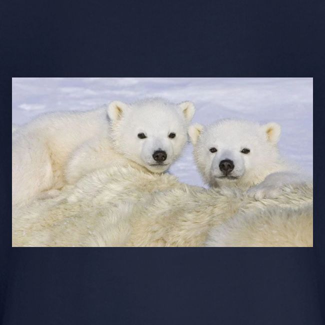 polarbears