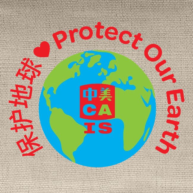 Earth with CAIS logo