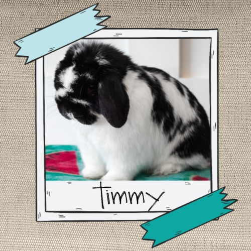 Timmy Photo - Hemp Carry All Pouch