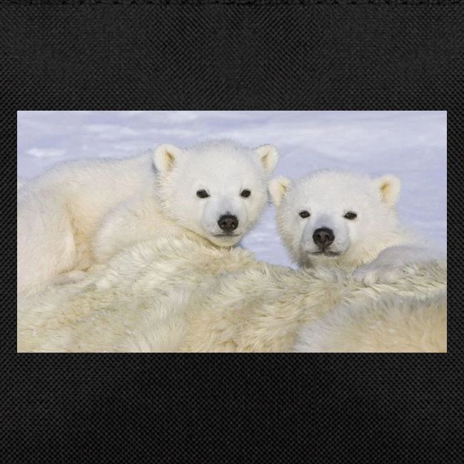 polarbears