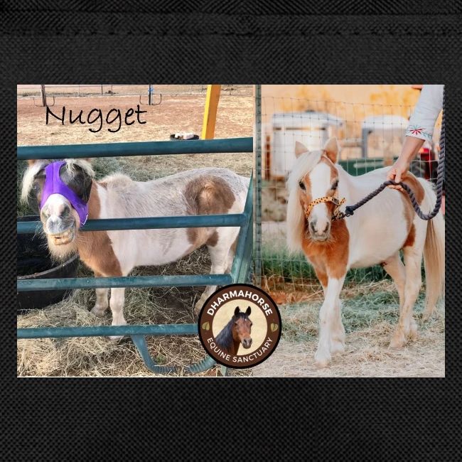 Nugget