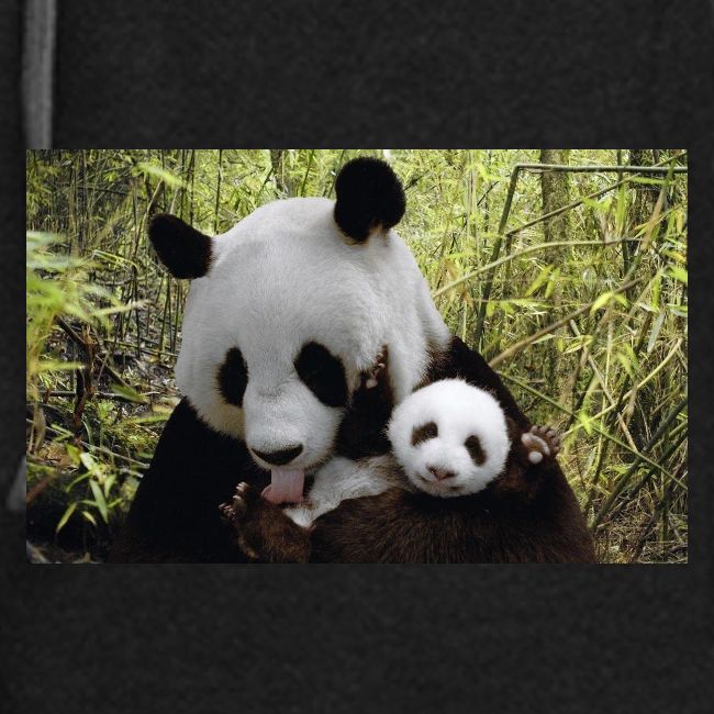panda