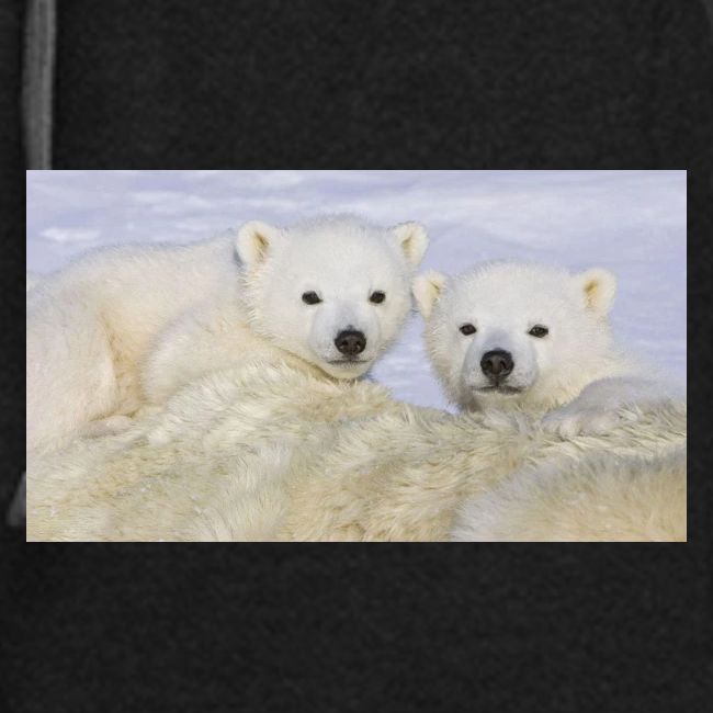 polarbears