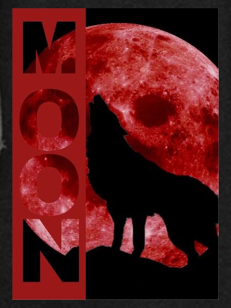 Moonlit Wolf Howl Silhouette
