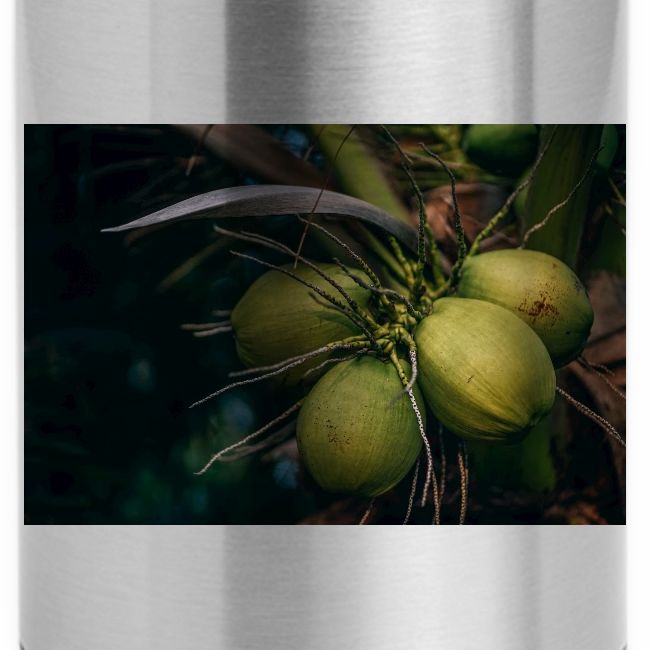 Coconut Tree Fresh Fruit - Enjoy Shopping!
