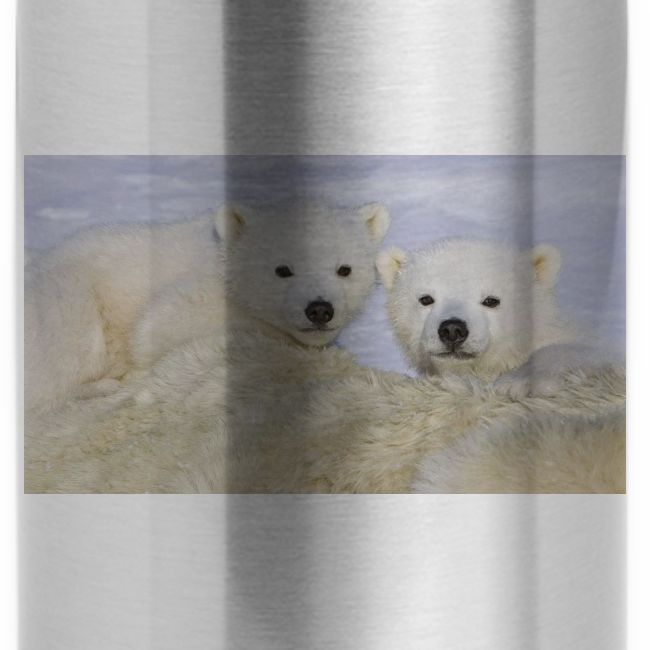 polarbears