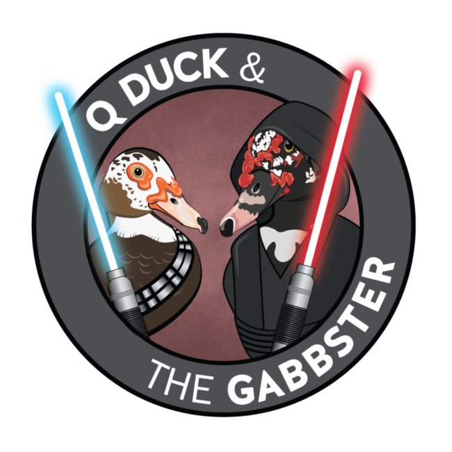 Q and Gabbs - Jedi Ducks