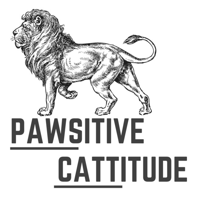 Pawsitive Cattitude Lion