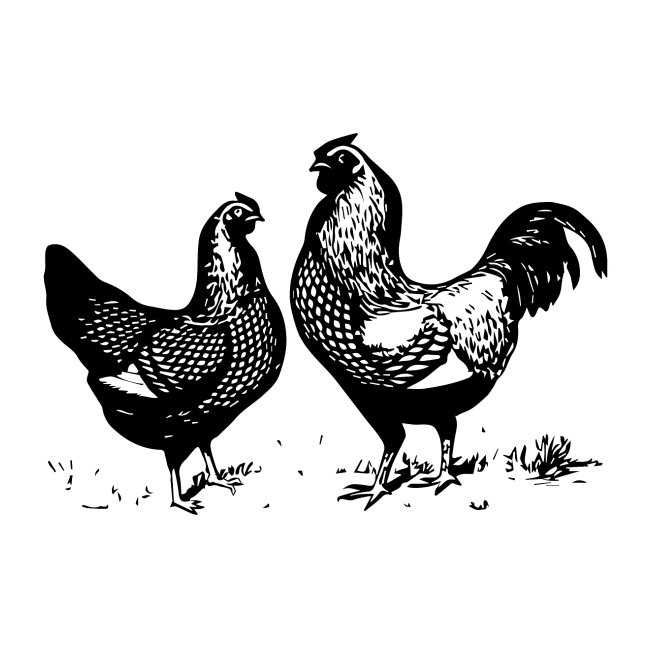 Vintage Rooster and Hen - farm style
