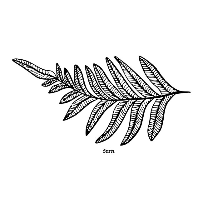 Fern Leaf