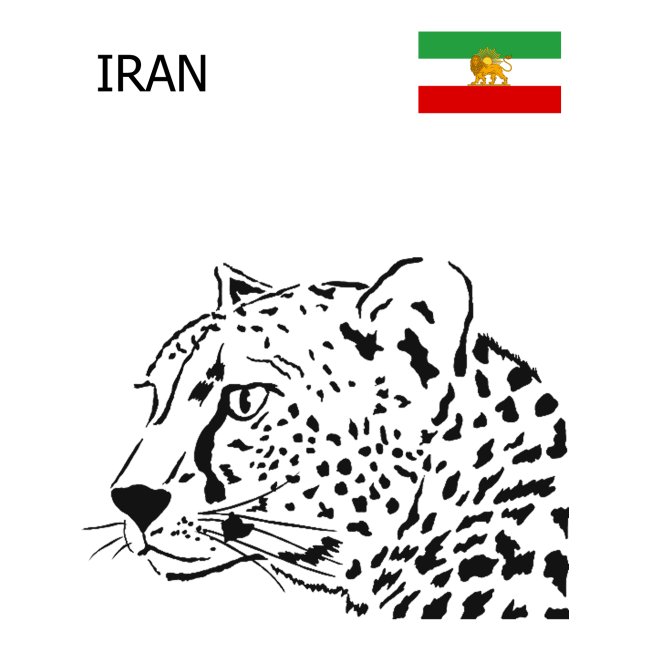Iran Sport Soccer