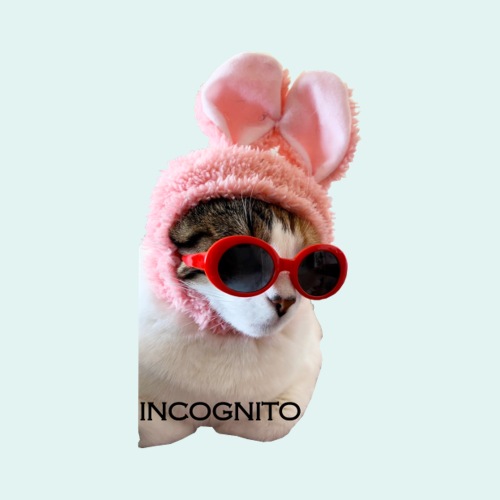 Incognito - Sticker
