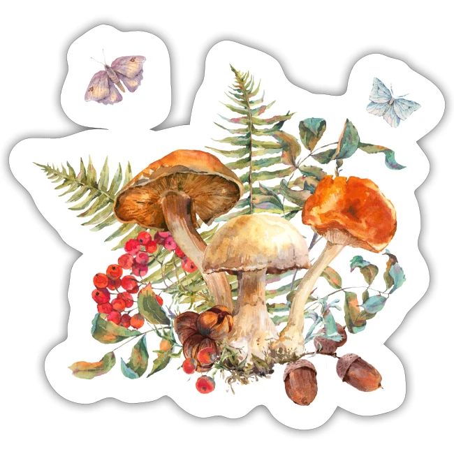 Mushroom Fantasy