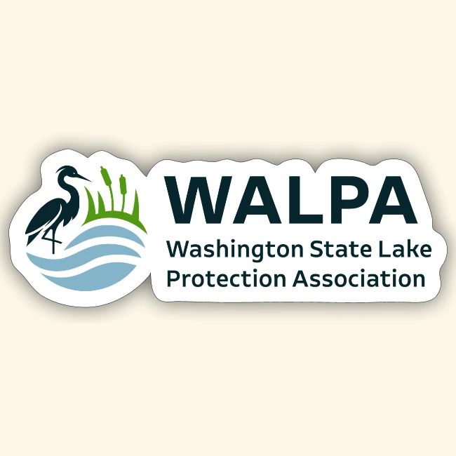 WALPA 1 Full Color 1