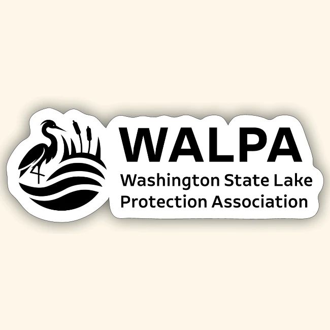 WALPA 1 Black