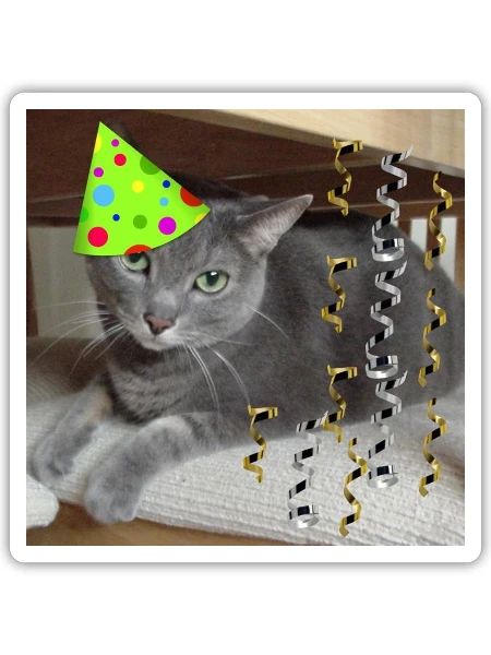Birthday Party Russian Blue Cat - Sticker - white matte - Front