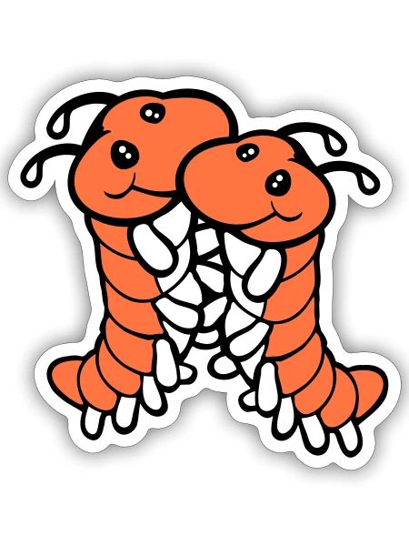 2 caterpillars cute two friends loving couple team - Sticker - white matte - Front