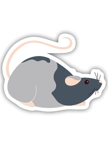 Rat - Sticker - white matte - Front